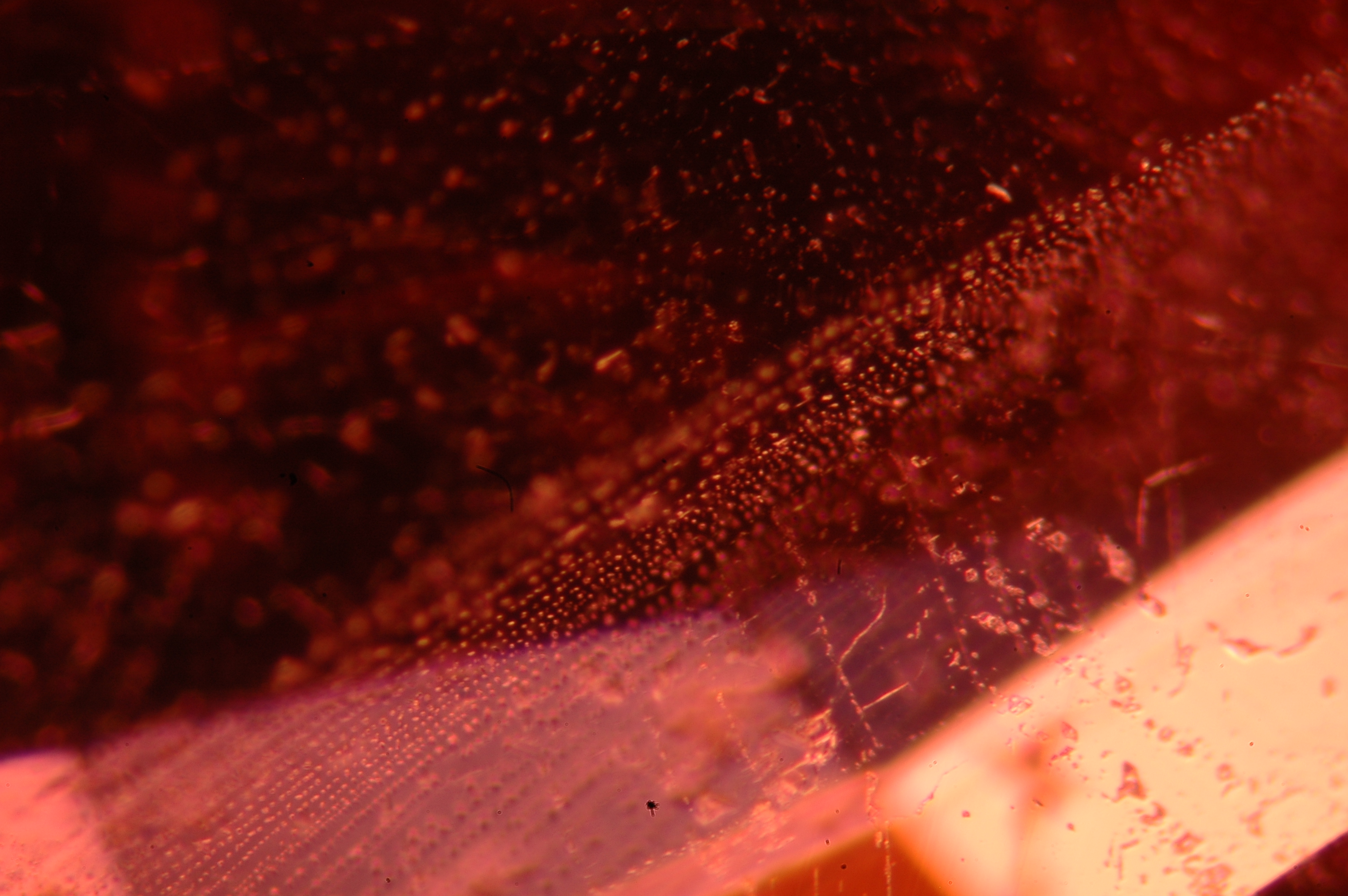 &ldquo;Fingerprint&rdquo; inclusions observed in the Mahenge Spinel