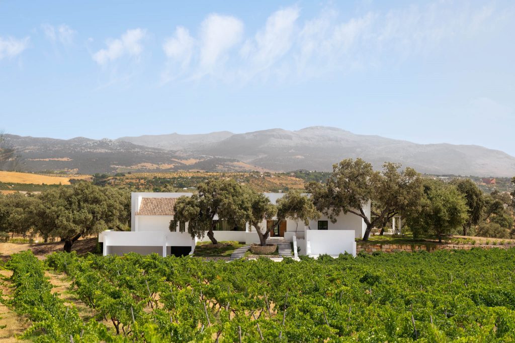 DSC 4777 Edit low res