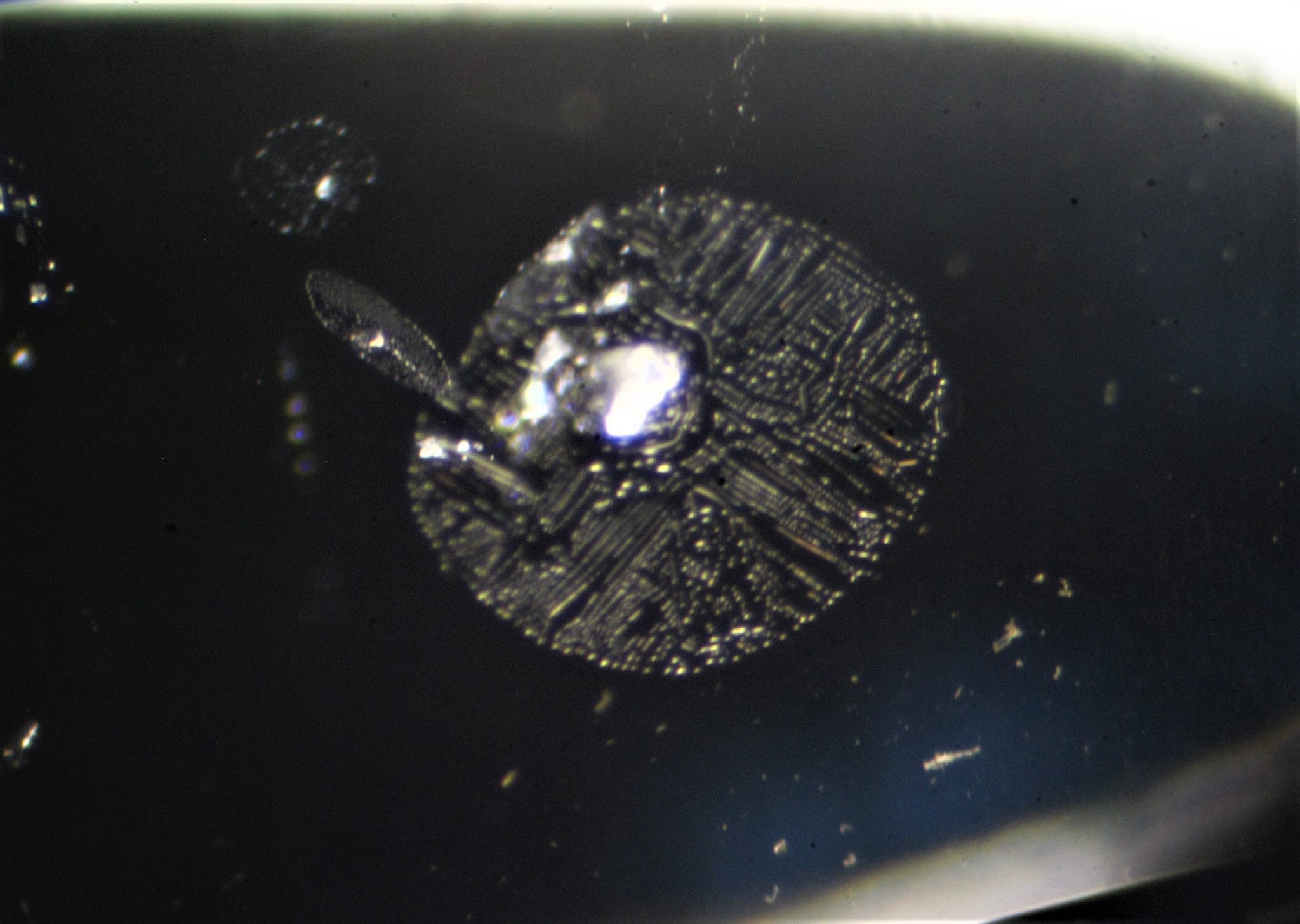 Fingerprint Inclusion